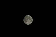 Луна вблизи полнолуния. Фотография без телескопа, с рук