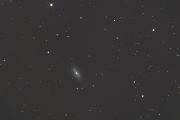 Яркая пересеченная спиральная галактика NGC 2903 в созвездии Льва